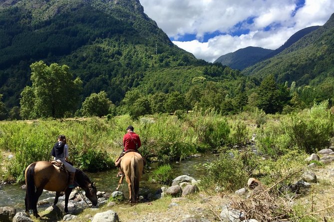 Horseback Trailride Excursion - Pastures and narrow trails in the Carhuello range