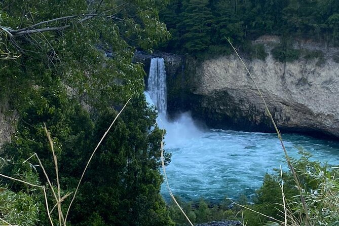 Huilo Huilo Reserve Tour from Valdivia with Lunch - Is $68 good value for this much scenery?