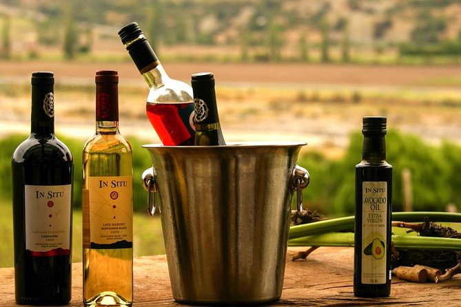 Inca Lagoon in Andes Mountain Range - Visit Local Vineyard with Tasting included - Laguna del Inca and Portillo