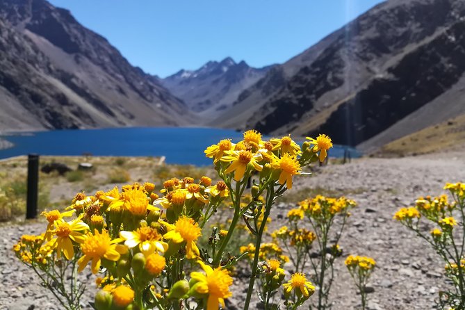 Inca Lagoon in Andes Mountain Range - Visit Local Vineyard with Tasting included - In Situ Family Vineyards and the First Tasting