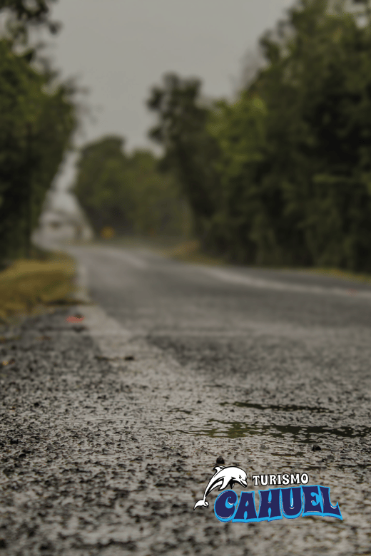Inner Coast of Chiloé: Road and Sea. - What Jonathan adds to the experience