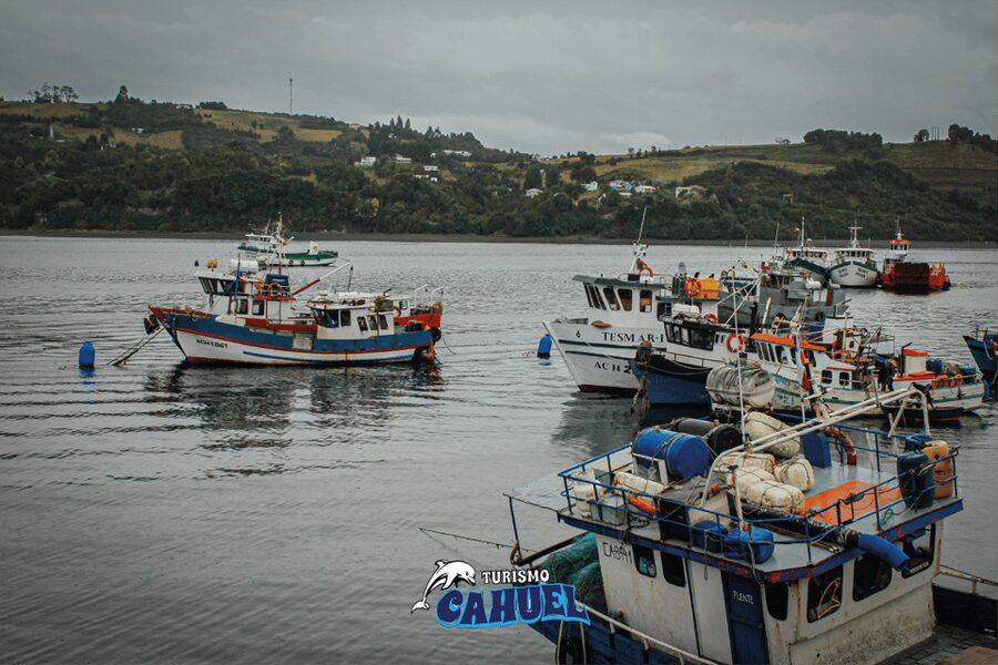 Inner Coast of Chiloé: Road and Sea. - Who should book this Chiloé excursion?