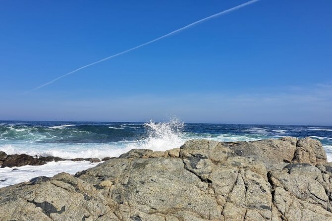 Isla Negra, Algarrobo Vinícola Undurraga Tour - Why this Santiago day trip works