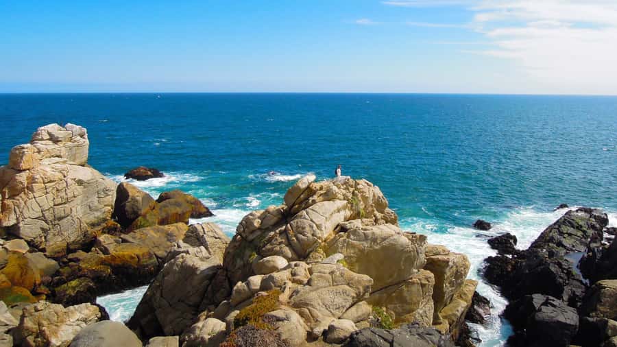 ISLA NEGRA AND ALGARROBO WITH VINICOLA UNDURRAGA - TOUR : CHILE - What this full-day trip is really offering