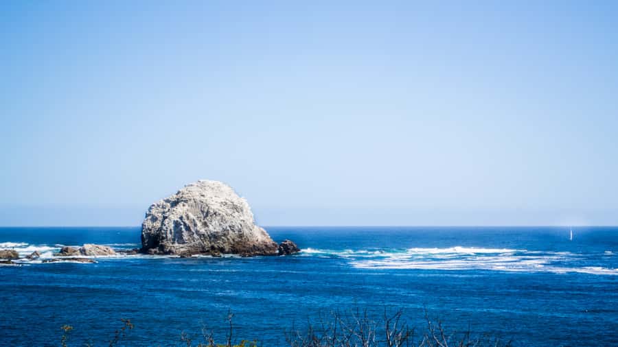 ISLA NEGRA AND ALGARROBO WITH VINICOLA UNDURRAGA - TOUR : CHILE - Undurraga Winery and four Chilean tastings