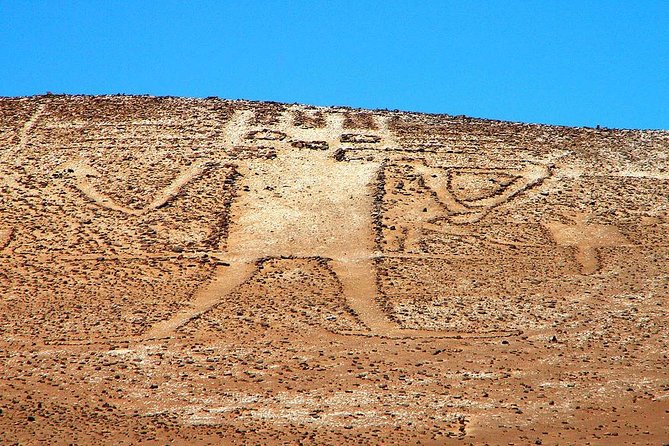 Isluga National Park Tour - Why this Iquique day trip is worth considering