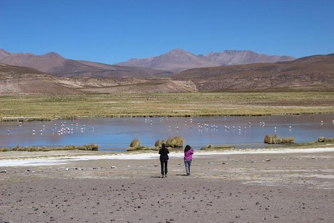 Isluga National Park Tour - The Atacama Giant gives the morning a dramatic start