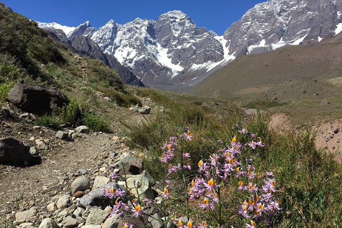 Juncal Andean Park: Hiking over a Glacial Tongue - Reaching the Juncal Glacier