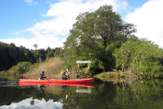 Kayak Laguna La Poza 1/2 day - Key points at a glance