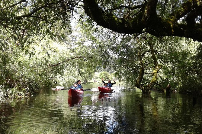 Kayak Laguna La Poza 1/2 day - Weather and cancellation details to take seriously