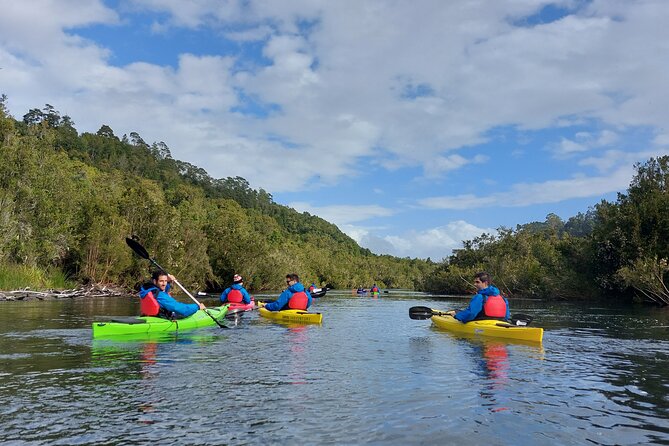 Kayak through the Sunken Forest of the Maullín River - Quick reasons to consider this Maullín River trip