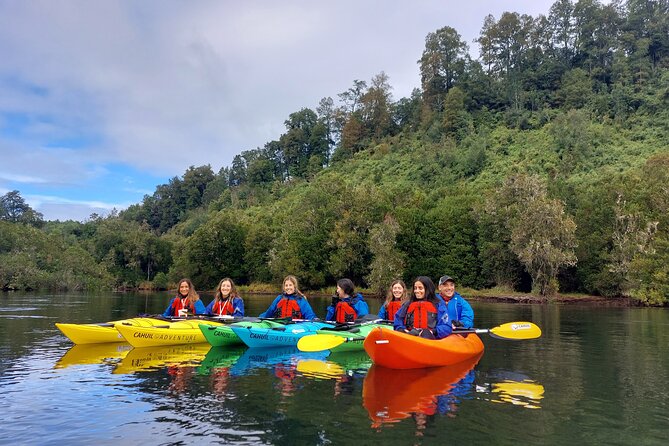 Kayak through the Sunken Forest of the Maullín River - Starting at Cahuil Adventure in Llanquihue