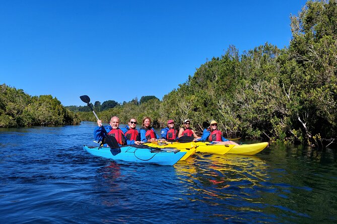 Kayak through the Sunken Forest of the Maullín River - Paddling through the sunken forest