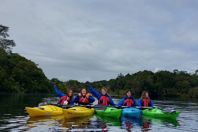 Kayak through the Sunken Forest of the Maullín River - Choosing between a sea kayak and sit-on-top kayak