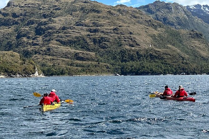 Kayaking with Whales and Wildlife Watching From Punta Arenas - Crossing the Strait of Magellan