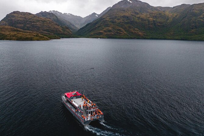 Kayaking with Whales and Wildlife Watching From Punta Arenas - Three hours kayaking in the Barbara Channel