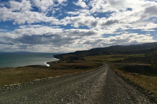 King Penguin Nature Reserve - Tierra del Fuego Island - Guides Can Shape the Whole Experience