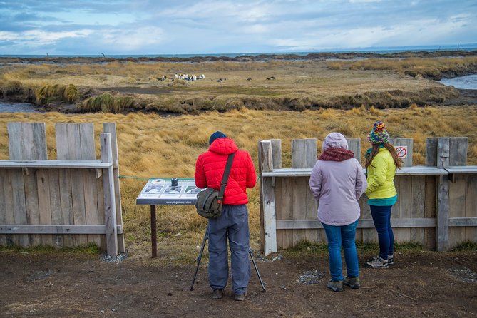 King Penguin Nature Reserve - Tierra del Fuego Island - The 5:00 a.m. Start and the Road to the Ferry