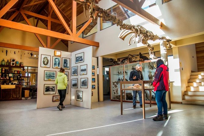 King Penguin & Tierra del Fuego Tour - Key points to know before booking