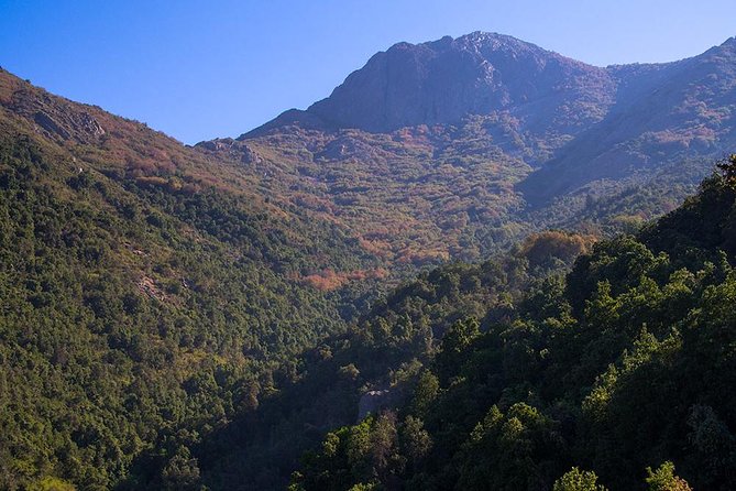 La Campana ascent from Santiago - El Andinista Trail Through Chilean Forest
