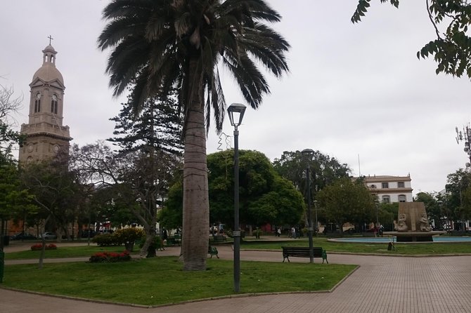 La Serena & Coquimbo City Tour - Short Cruise Excursion - Coquimbo’s historic streets and the English-style quarter