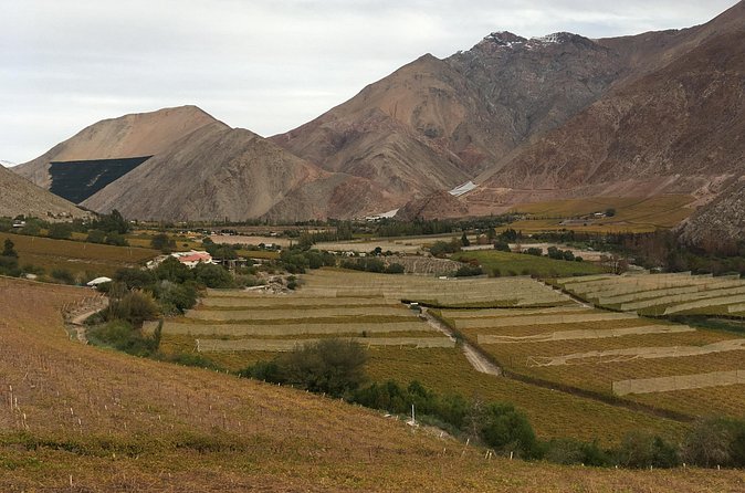 La Serena & Elqui Valley : Ancestral & Avant Garde Wines & Piscos - Paihuano offers one of the best photo stops
