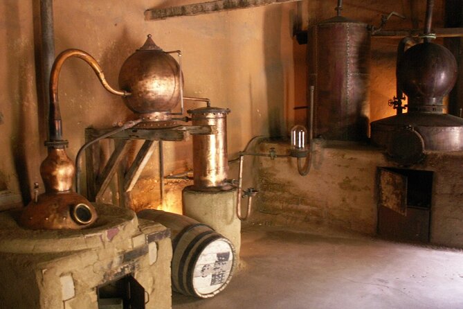 La Serena & Elqui Valley : Ancestral & Avant Garde Wines & Piscos - Algarrobito and the first farming settlements
