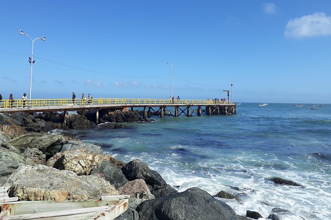 La Serena: Full day to Isla Damas & Humbolt Pinguino National Reserve - What $150 includes, and what it does not