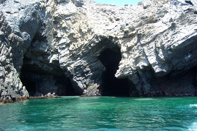 La Serena: Full day to Isla Damas & Humbolt Pinguino National Reserve - Who should book this experience
