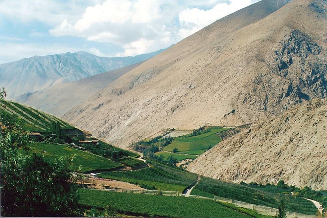 La Serena: Full day Tour to Elqui Valley - A practical 10-hour schedule from La Serena