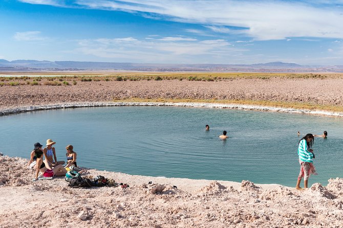Lagoons in Atacama Salt Flat - Half Day - Typical Tour - San Pedro de Atacama - Why this half-day outing works so well