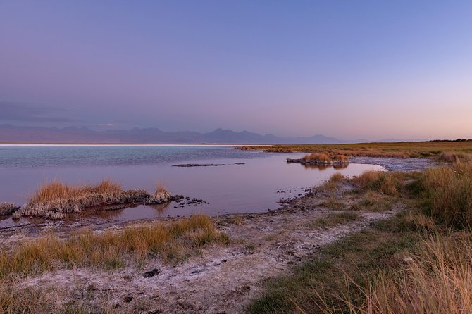 Lagoons in Atacama Salt Flat - Half Day - Typical Tour - San Pedro de Atacama - Cejar Lagoon and the strange pleasure of floating
