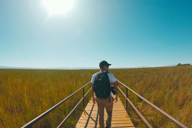 Laguna Cejar, Ojos del Salar and Tebenquinche in Atacama - What this Atacama afternoon actually feels like