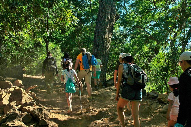 Las Animas Waterfall Tour - From Linares to the Achibueno River