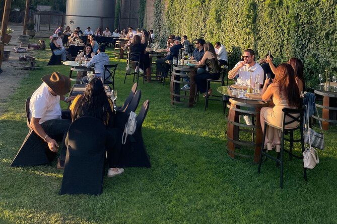 Legacy Family Tour Lunch or Dinner Pairing 4 Strokes - From Santiago to Rancagua: the first practical decision