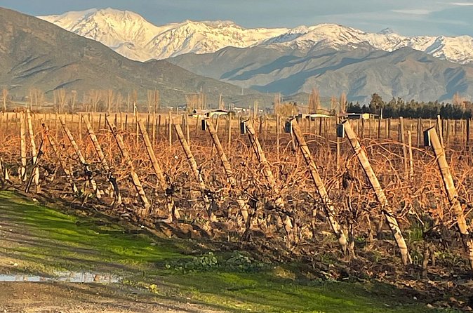 Legacy Family Tour Lunch or Dinner Pairing 4 Strokes - Four wines with a proper meal