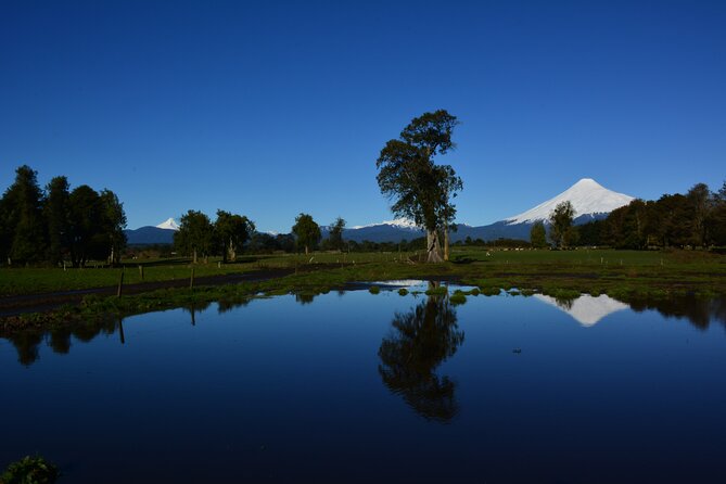 Llanquihue Lake Tour - Cascada and Ensenada: Start with the Outdoor Portion