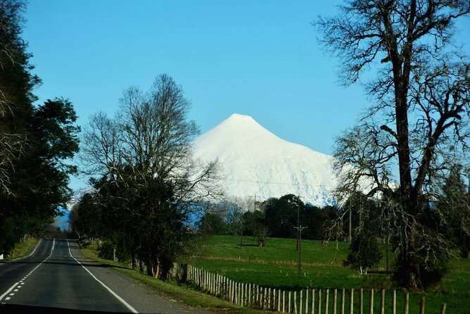 Llanquihue Lake Tour - Frutillar: The Cultural Highlight, With a Time Warning