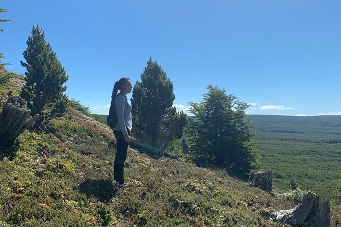 Magallanes National Reserve and Punta Arenas City Tour - Key things to know before booking