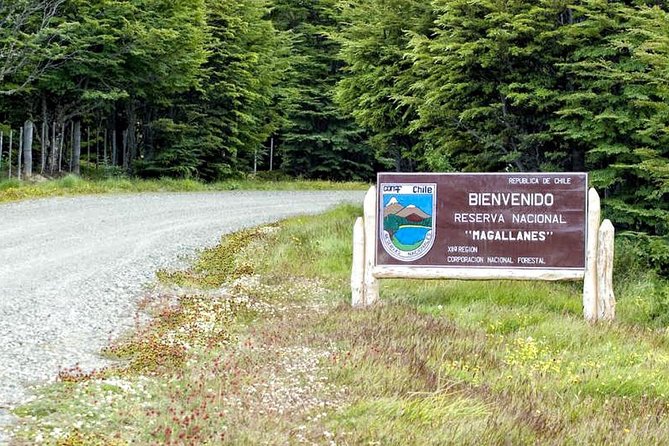 Magallanes National Reserve Hiking from Punta Arenas - Leaving Punta Arenas for the reserve
