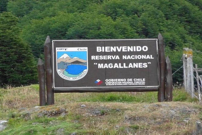 Magallanes National Reserve Hiking from Punta Arenas - Private tour value at $175.42