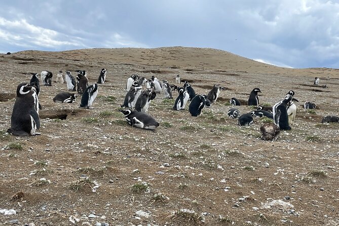 Magdalena Island Navigation - Key points before you book