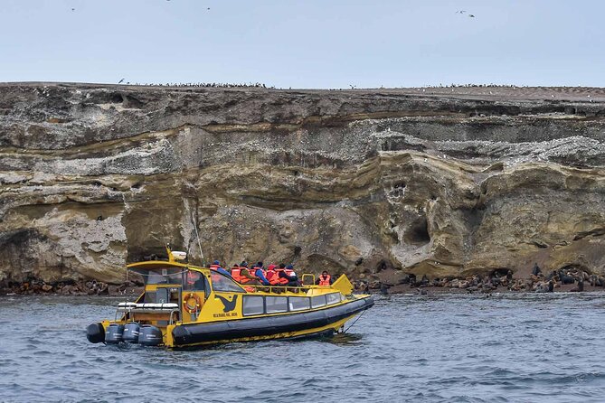 Magdalena Island Penguin Boat Tour and Marta Island - Key Details Before You Book