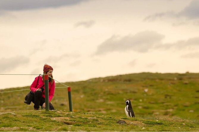 Magdalena Island Penguin Boat Tour and Marta Island - Group Size, Guide Service, and Comfort