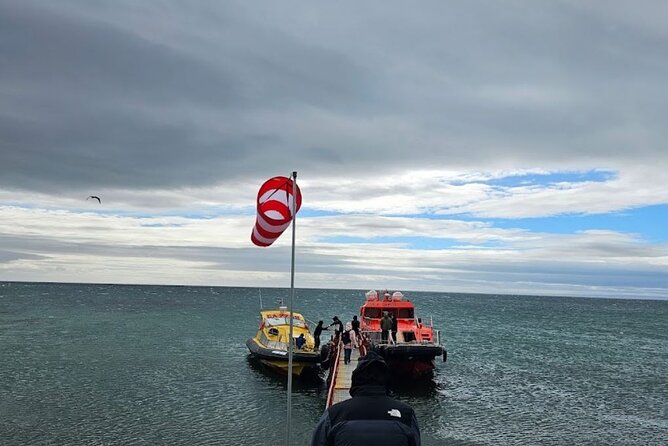 Magdalena Island Penguin Boat Tour and Marta Island - Meeting Near Muelle Prat Before Sunrise