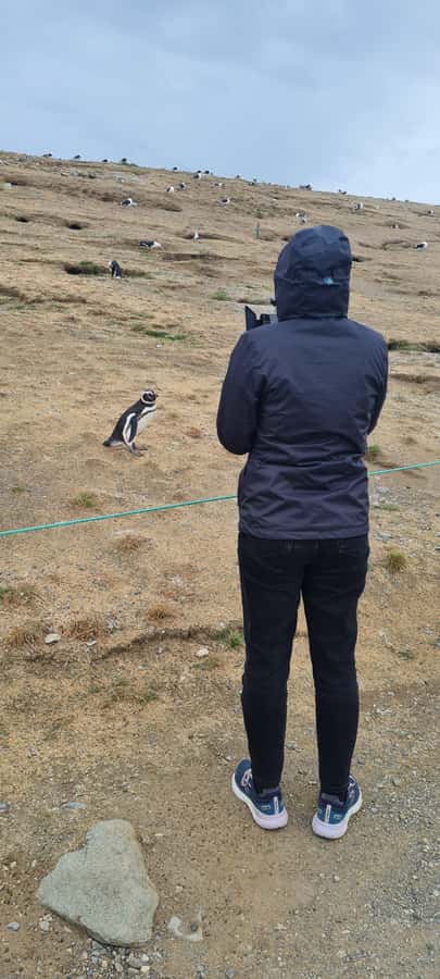 Magdalena Island: Walk with the penguins - Walking the 800-meter island path