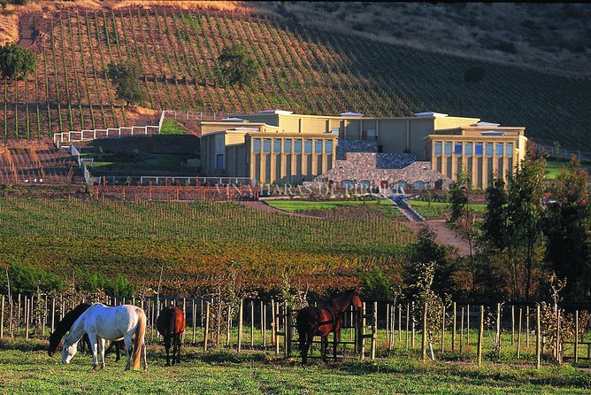 Maipo Valley Experience - What the premium tasting adds