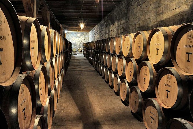 Maipo Valley Experience - Private transport makes the long day easier