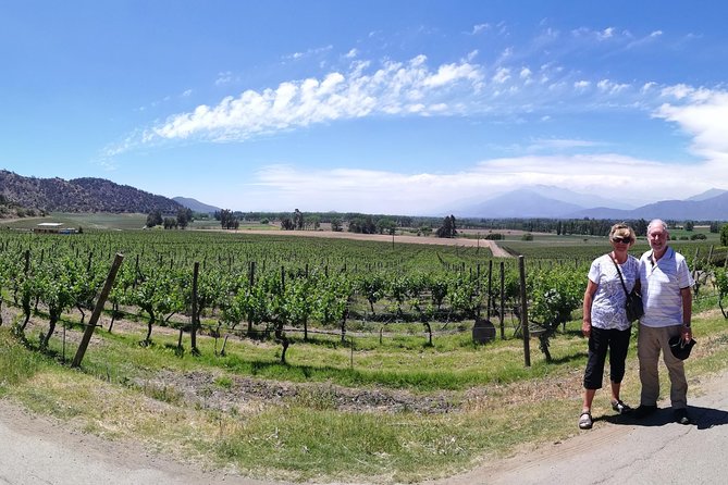 Maipo Valley Experience - Seeing a smaller-scale side at Haras de Pirque