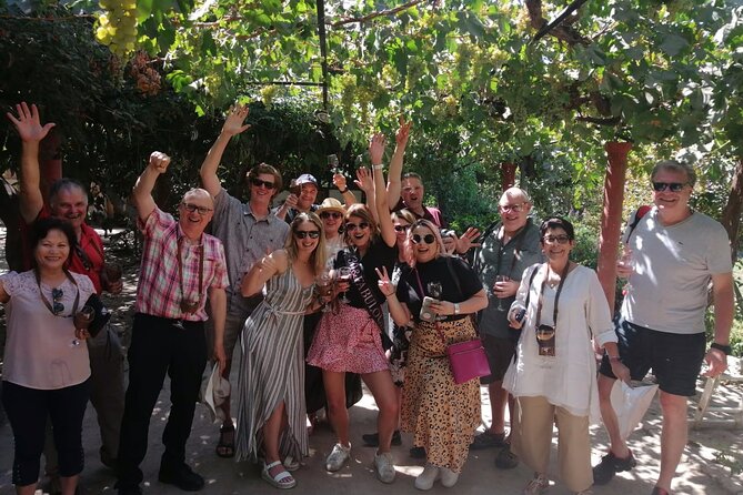 Maipo Valley litle wine bus from Santiago - A full day in the Maipo Valley from Santiago